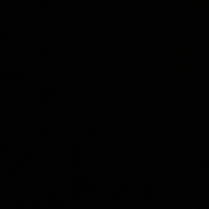 Meet your Posher, Riley